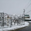 PHOTO-2021-02-19-13-53-04 (10)